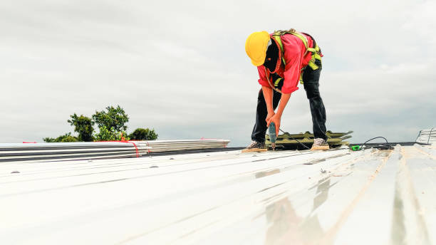 Best Roof Moss and Algae Removal  in Camp Croft, SC